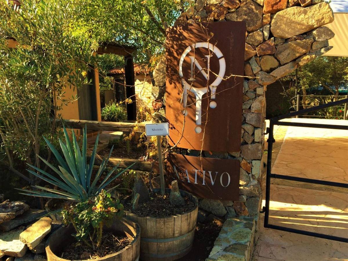 Suites Nativo - Beautiful Vineyard & Valley View Valle de Guadalupe Εξωτερικό φωτογραφία